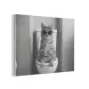 Kat - Telefoon - Toilet - Zwart - Wit PET vilt klein -3d