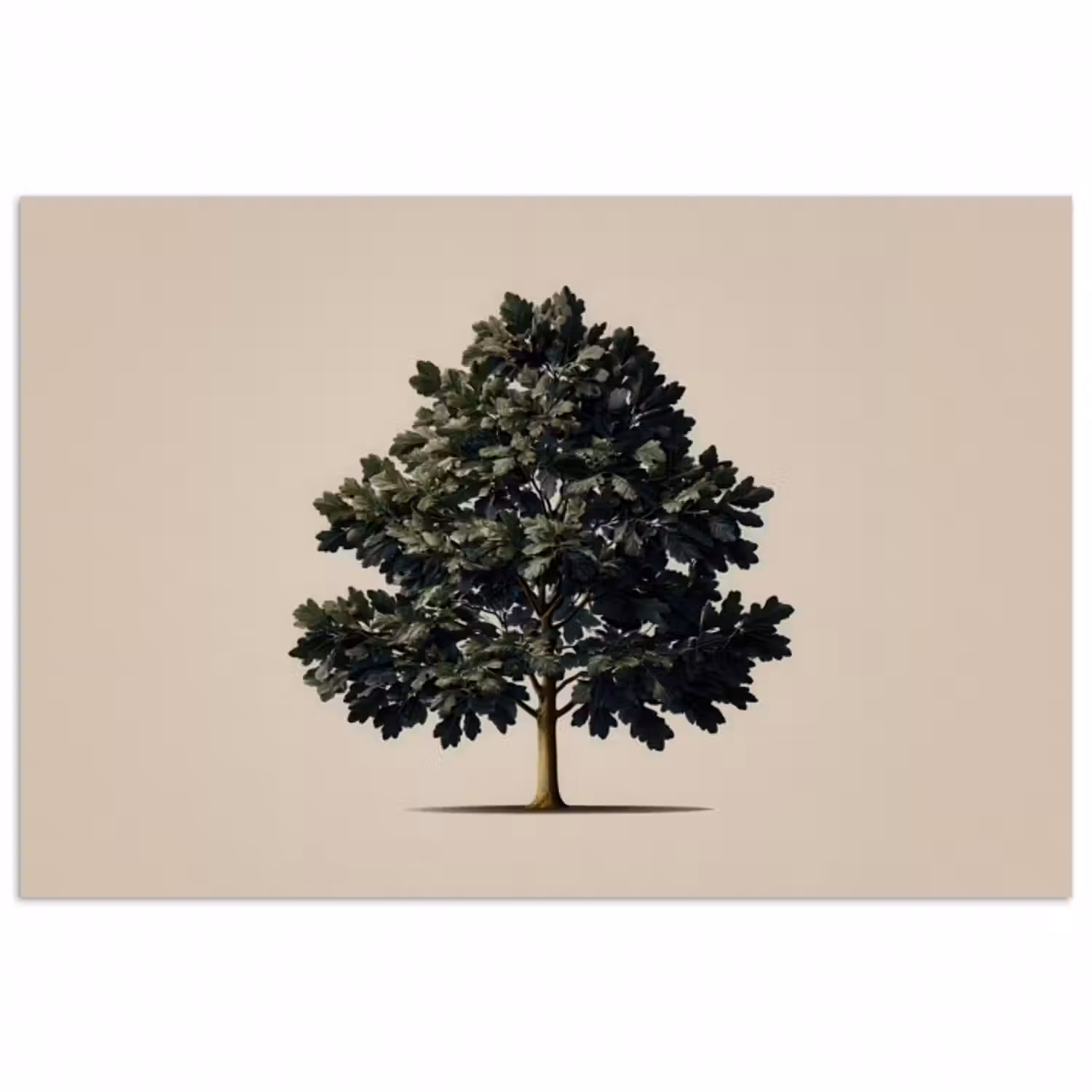 Poster - Eichenbaum - Schatten - Glatt