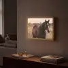 Paard - Zonsondergang - Bruin Light Box met batterij (Wandlamp) middel -sfeer1