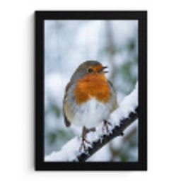 Roodborstje - Tak - Sneeuw - Winter - Levendig fotolijst zwart zonder passe partout klein -3d
