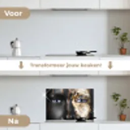 Vrouw - Bladgoud - Zwart - Goud - Luxe keuken achterwand spatscherm klein -voor_na_NL