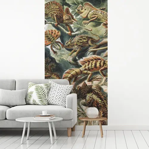 Vintage - Kunst - Ernst Haeckel - Tuinposter - Tuin fotobehang vinyl groot -woonkamer