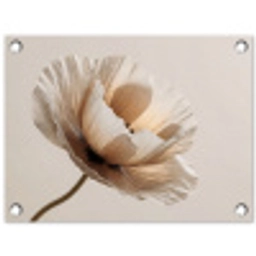 Bloem - Beige - Crème tuinposter los doek klein -3d