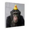 Chimpansee - Badeend - Grijs plexiglas 5mm klein -z3d
