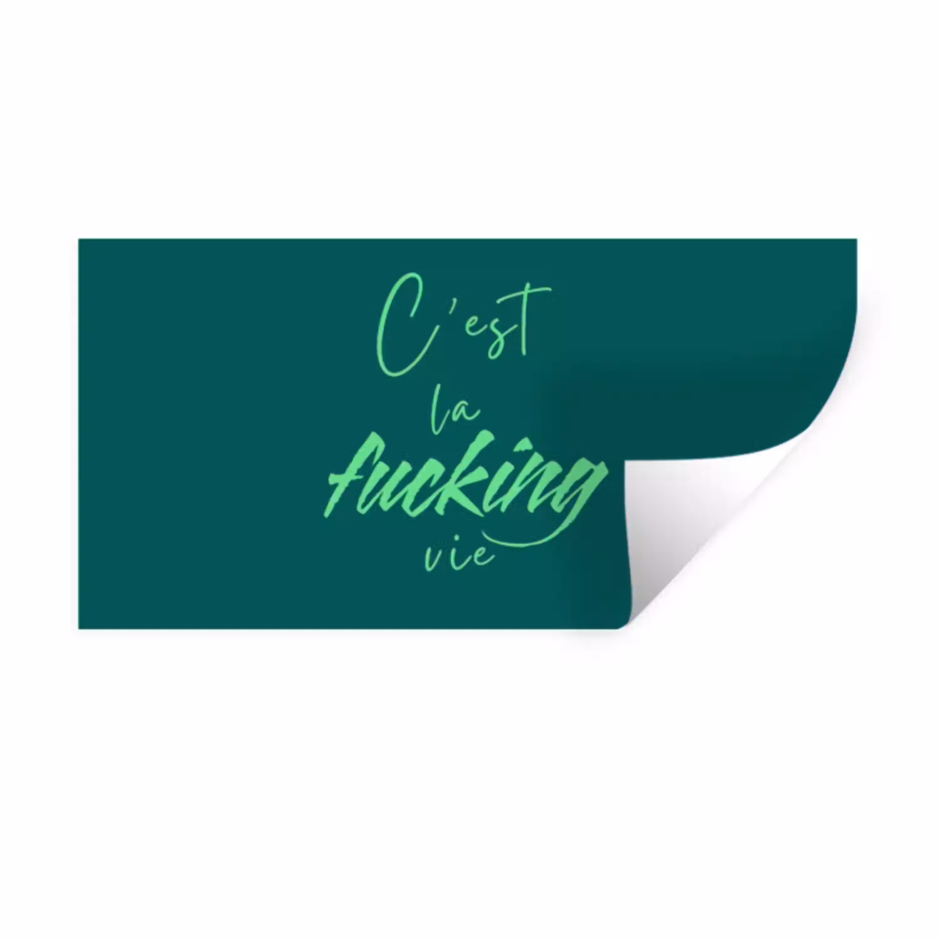 c'est la fucking vie - Groen - Handgeschreven Muursticker klein -3d