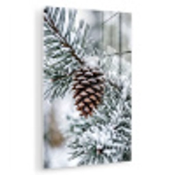 Dennenappel - Tak - Sneeuw - Winter - Sfeervol plexiglas 5mm klein -zzzproduct_nieuw