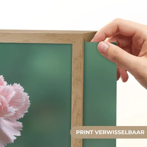 Anjer - Roze - Bloemblaadjes Light Box met batterij (Wandlamp) middel -USP_websiteprintNL