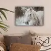 Paard - Wit - Winter - Natuur - Sneeuw - Dieren canvas 2cm klein -sfeer1