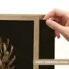 Donkerbruin - Bloem - Textuur - Artisjok Light Box met batterij (Wandlamp) middel -USP_websiteprintNL
