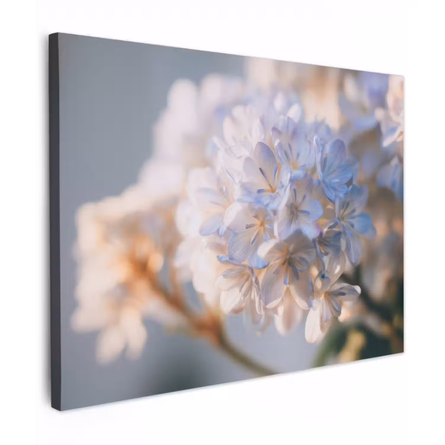 Canvas schilderij - Bloemen - Lichtblauw - Wazig - Trosje
