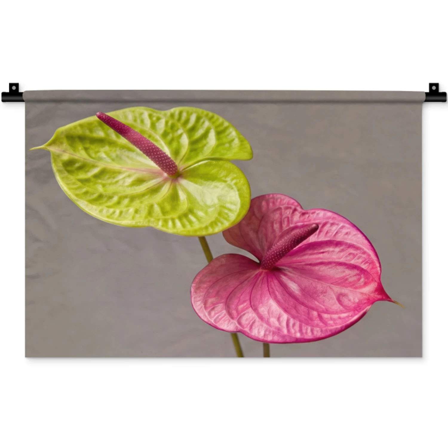 Planten - Anthurium - Groen - Roze Wandkleed katoen klein -zz3d