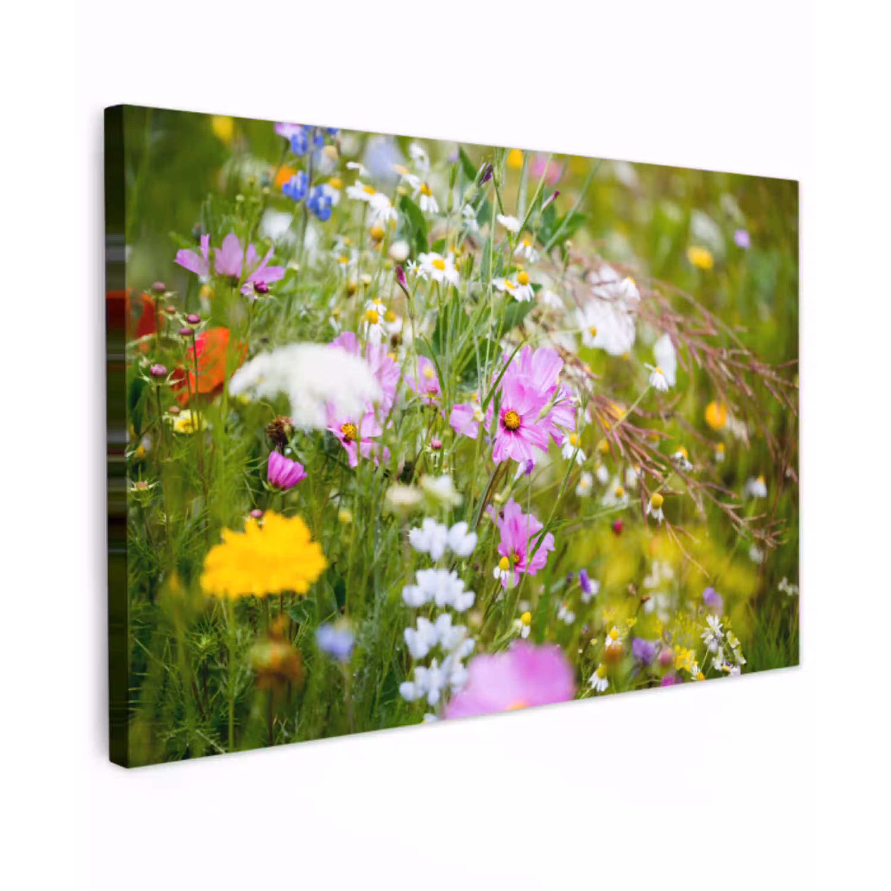 Bloemen - Natuur - Groen - Gras - Paars - Wit Tuinposter op houten frame 2 cm dik klein -3d