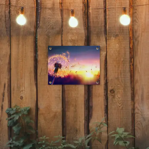 Paardenbloem - Bloemen - Zonsondergang - Horizon - Nacht tuinposter los doek klein -sfeer1
