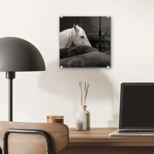 Paarden - Zwart - Wit - Kudde plexiglas 5mm klein -sfeer6