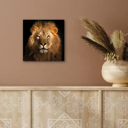 Leeuw - Dieren - Zwart - Licht - Bruin - Portret aluminium wit klein -sfeer4
