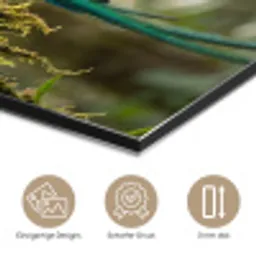 Quetzal - Jungle - Natuur - Groen aluminium wit klein -closeup_DE