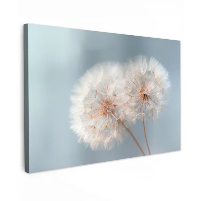 Paardenbloemen - Pluisjes - Wit canvas 2cm klein -z3d