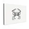 Ernst Haeckel - Vintage - Kunst - Krab canvas 2cm klein -z3d
