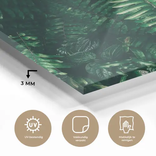 Bladeren - Jungle - Natuur - Tropisch - Planten plexiglas 5mm klein -sfeer2
