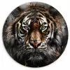 Tijger - Dieren - Portret - Luxe - Zwart Wandcirkel kunststof plaat 5mm dik klein -3d