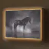 Paard - Magisch - Zwart Light Box met batterij (Wandlamp) middel -z3d_website