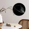 Paarden - Portret - Zwart - Dieren Wandcirkel kunststof plaat 5mm dik klein -sfeer4