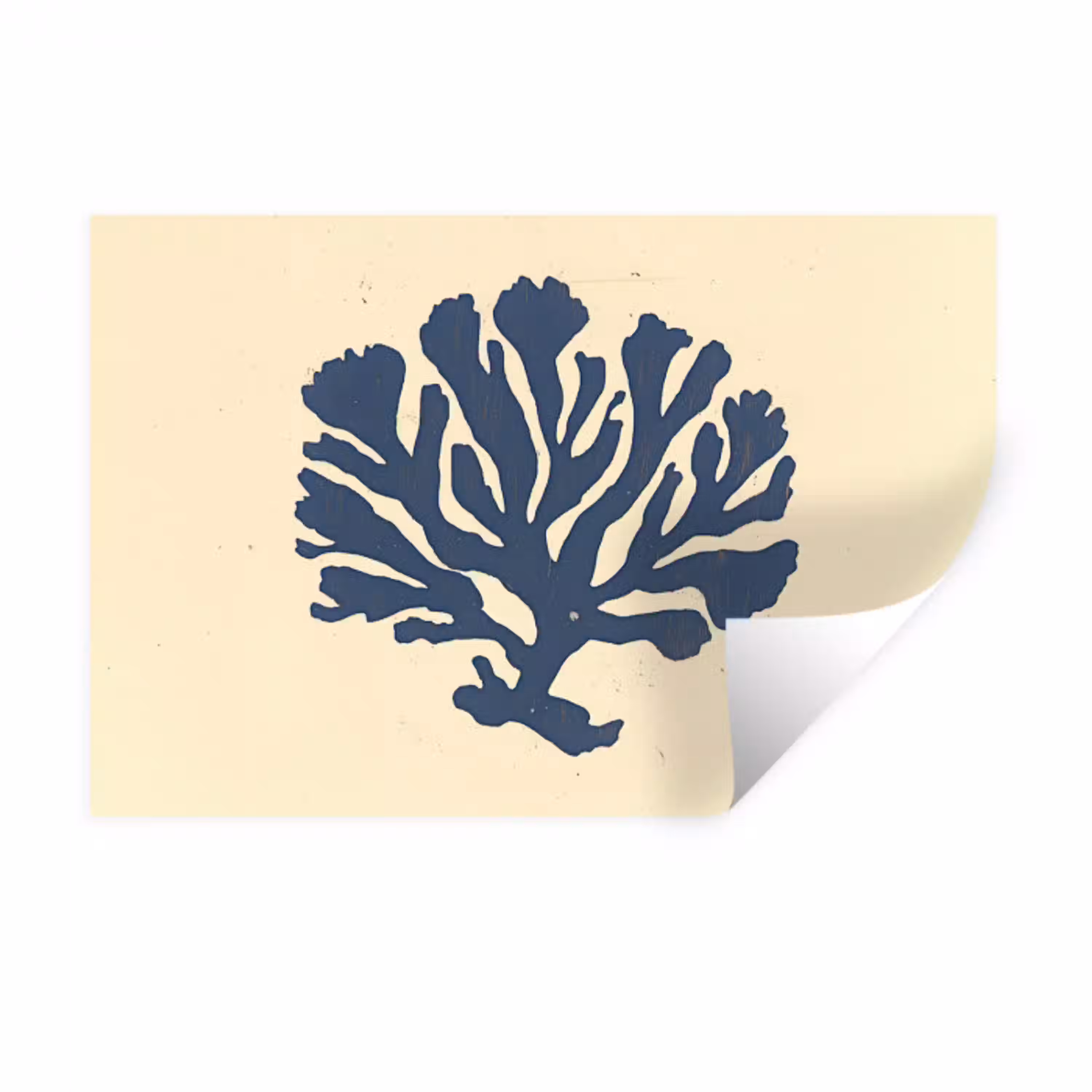 Blauw koraal - Vertakkingen - Beige Muursticker klein -3d