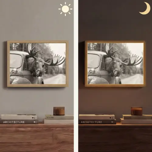 Eland - Auto - Gewei - Zwart - Wit Light Box met batterij (Wandlamp) middel -sfeer3