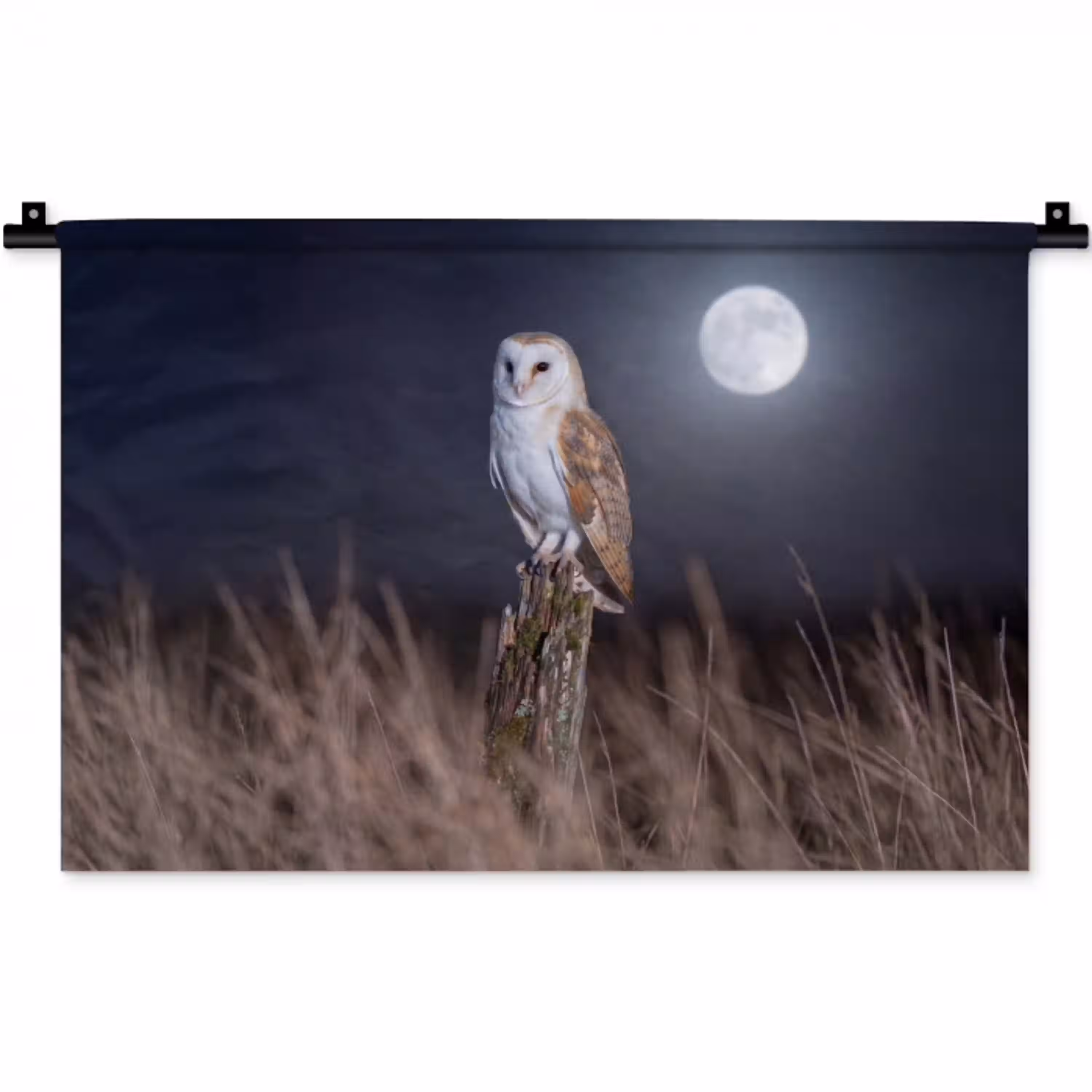 Kerkuil - Maan - Nacht Wandkleed katoen klein -zz3d