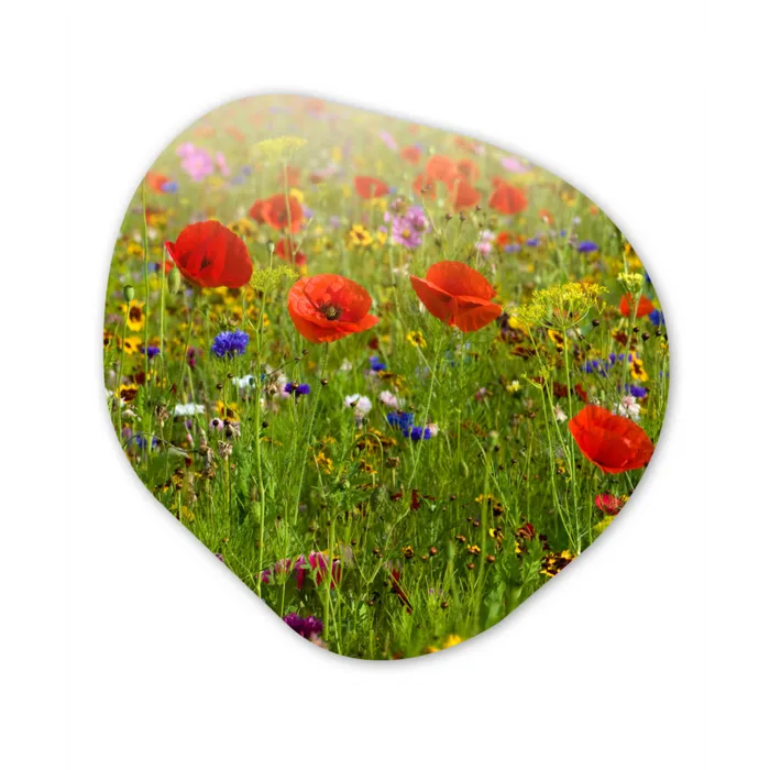 Lente - Bloemen - Rood - Klaproos - Gras - Groen Wandcirkel Organisch Forex 3mm klein -3d