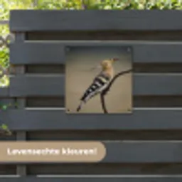 Vogel - Tropisch - Natuur tuinposter los doek klein -sfeer3