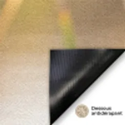 IJsvogel - Tak - Water - Kleurrijk - Levendig Deurmat klein -antislip_FR