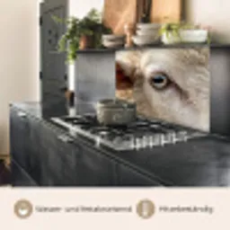 Schaap - Oog - Wit keuken achterwand 2 middel -usp_DE