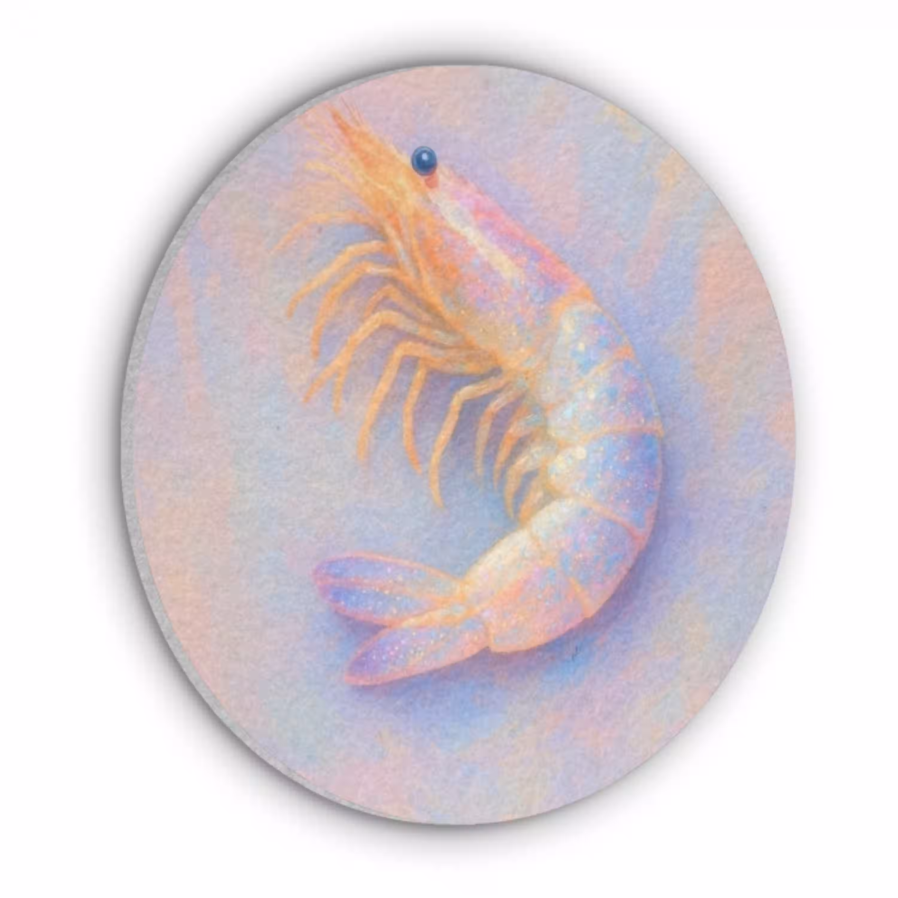 Garnaal - Subtiele structuur - Blauw - Roze Akoestische PET Vilt - Rond klein -3d