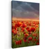 Zonsondergang - Klaprozen - Rood - Bloemen - Veld - Natuur canvas 2cm klein -z3d