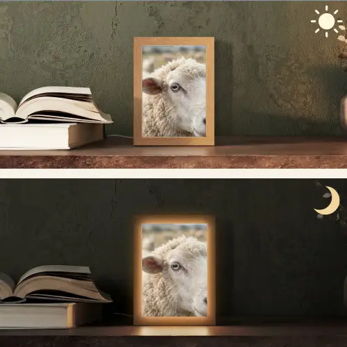Schaap - Oog - Wit Light Box met kabel (Tafellamp) klein -sfeer3