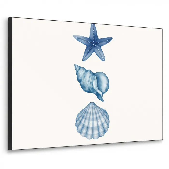 Zeester - Schelpen - Blauw Textielframe zwart klein -3d