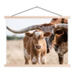 Texas Longhorn - Kalf - Weide - Dieren textielposter latten blank klein -3d