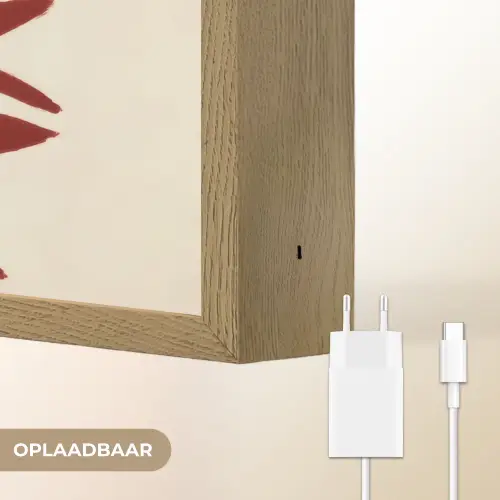 Tak - Bladeren - Rood Light Box met batterij (Wandlamp) middel -USP_websiteoplaadbaarNL