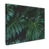 Bladeren - Tropisch - Monstera - Jungle Tuinposter op houten frame 2 cm dik klein -3d