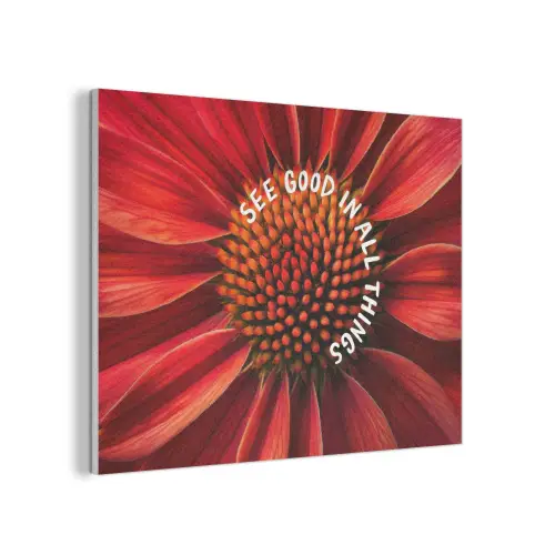 Close up - Bloem - Quote - Rood PET vilt klein -3d