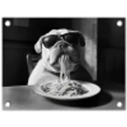 Hond - Bulldog - Pasta - Bril - Stoer - Dieren tuinposter los doek klein -3d