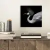 Kraanvogel - Zwart - Wit - Vogel - Dieren aluminium wit klein -sfeer1