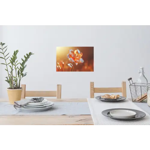 Glazen - Bloem - Zonlicht Muursticker klein -eettafel