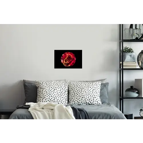 Bloem - Roos - Rood - Zwart Muursticker klein -slaapkamer