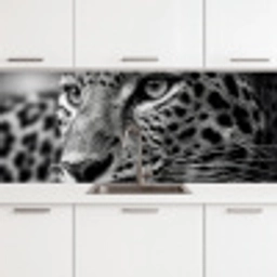 Luipaard - Zwart - Wit - Oog keuken achterwand 2 middel -3d