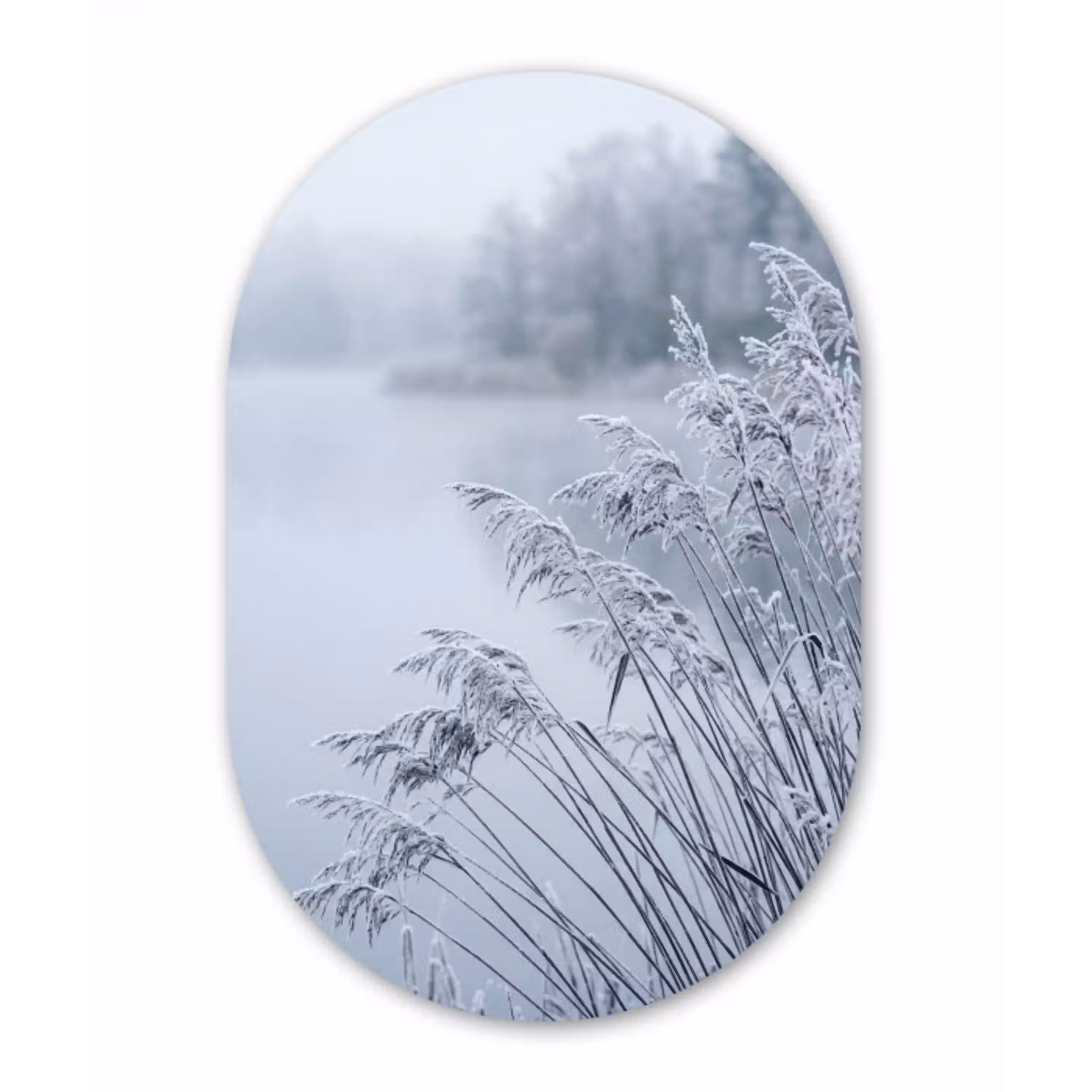 Riet - Bevroren - Winter - Natuur Wandcirkel Ovaal Aluminium middel -3d