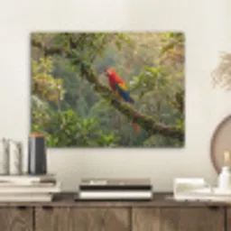 Ara - Jungle - Rood PET vilt klein -sfeer1