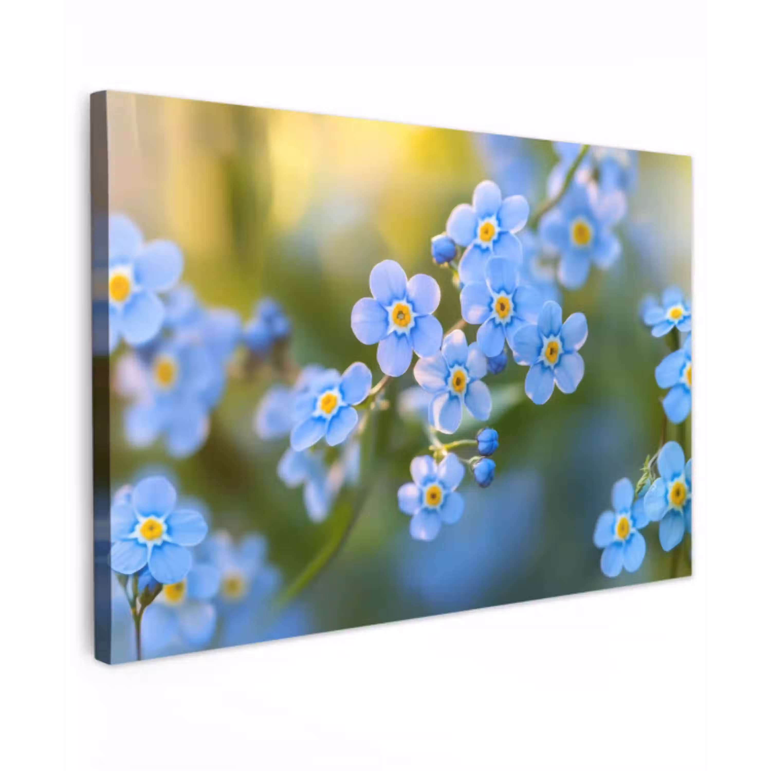 Bloemetjes - Blauw - Vergeet mij nietjes Tuinposter op houten frame 2 cm dik klein -3d