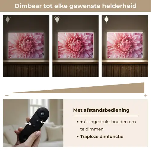 Dahlia - Bloem - Close up - Roze Light Box met batterij (Wandlamp) middel -USP_dimbaarNL